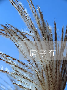 房子在一方名下，離婚如何分割？